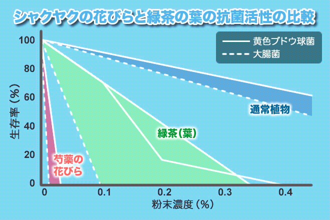 シャクヤクの花びらと緑茶の葉の抗菌活性の比較